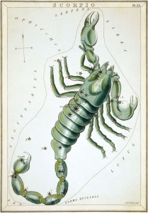 Scorpius as depicted in Urania's Mirror, a set of constellation cards published in London c.1825.